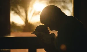 Frasi festa del papà