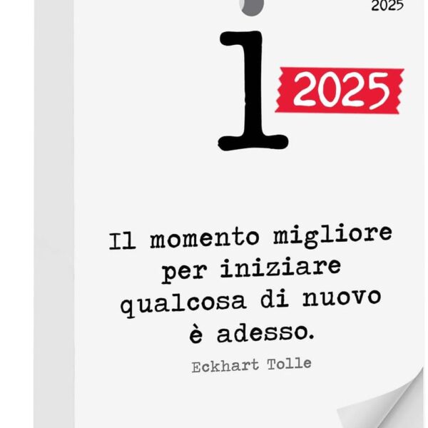 Calendario Geniale 2025 Calendario Geniale 2025
